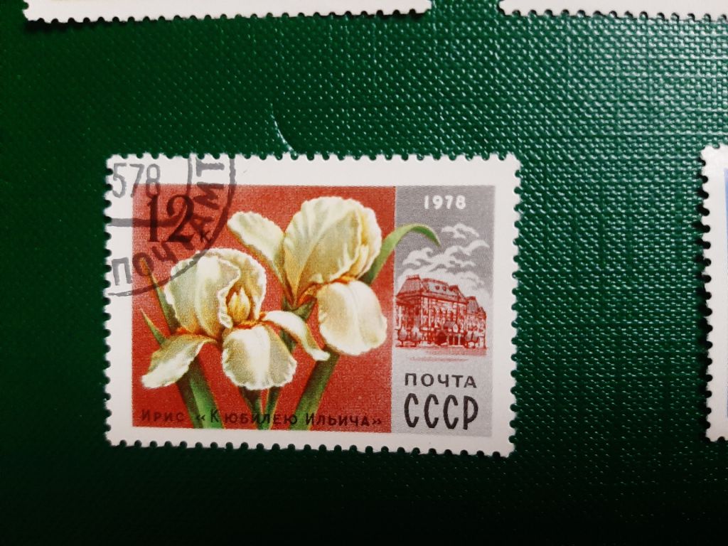 Марки. Флора. Цветы Москвы. СССР. 1978 - фото фото фото 4