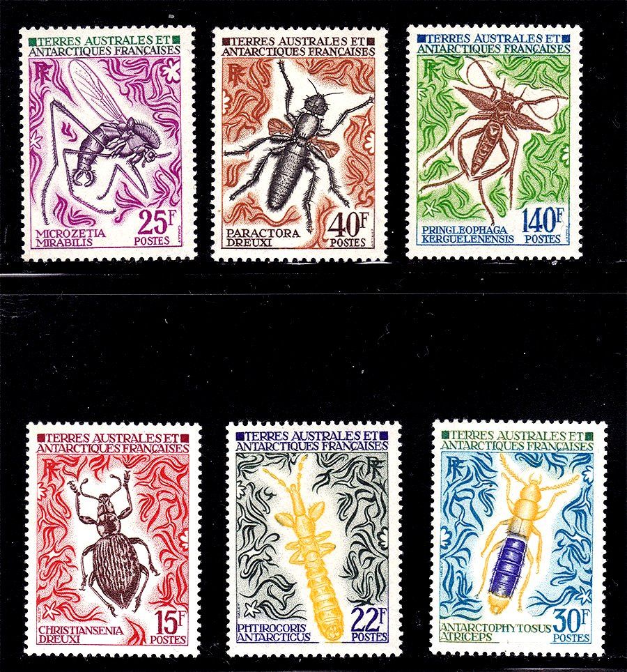 Фауна  ТААФ / TAAF  1972 г MNH - М 71-73 и 78-80 - фото фото фото 0