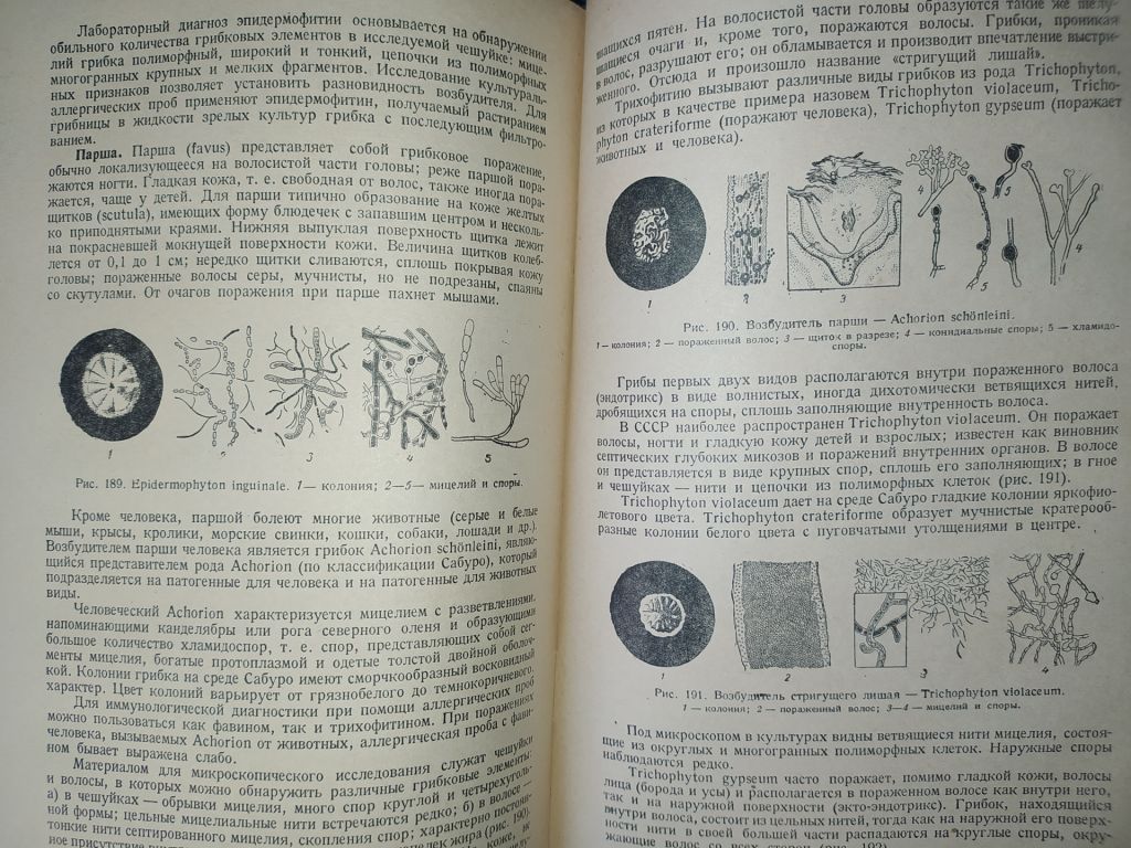 книга: УЧЕБНИК МЕДИЦИНСКОЙ МИКРОБИОЛОГИИ. II-e изд. 1949г.; - фото фото фото 14
