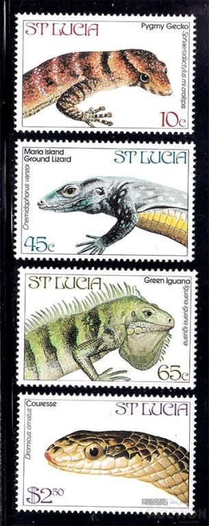 Фауна . Св. Елена 1989 г  MNH - фото фото фото 0