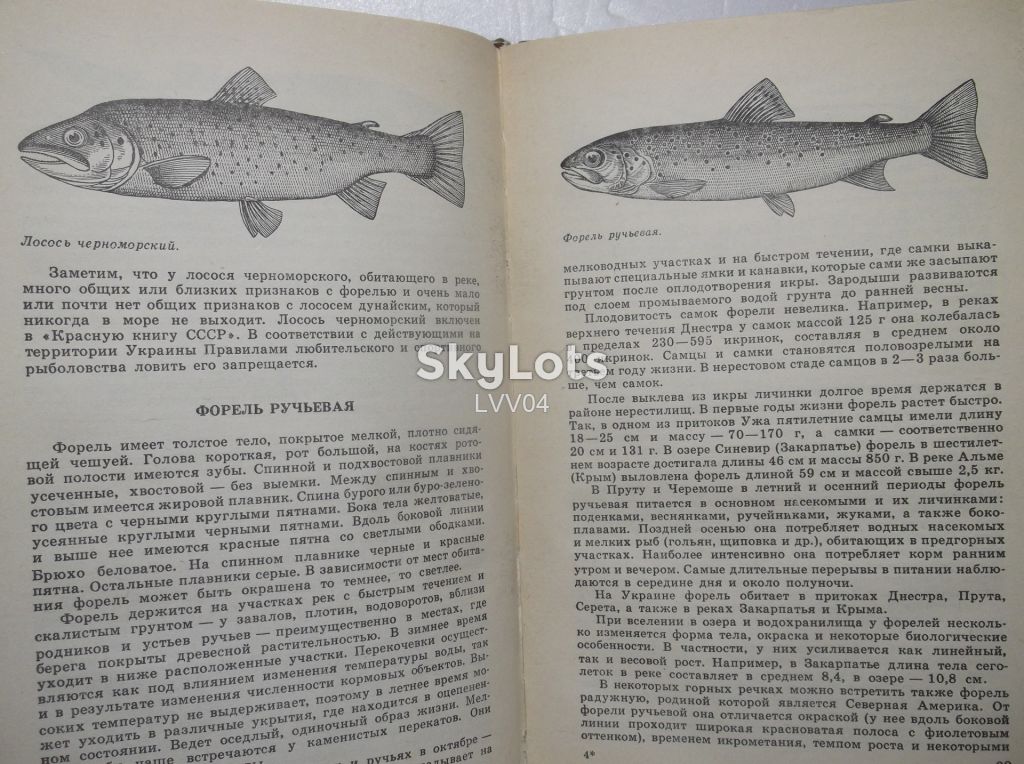 Куркин, Щербуха. Любительское рыболовство - фото фото фото 5