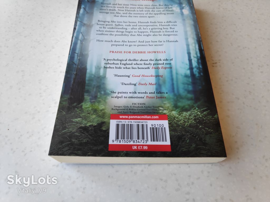 Her Sister's Lie. Debbie Howells  (Goodreads Author) - фото фото фото 2