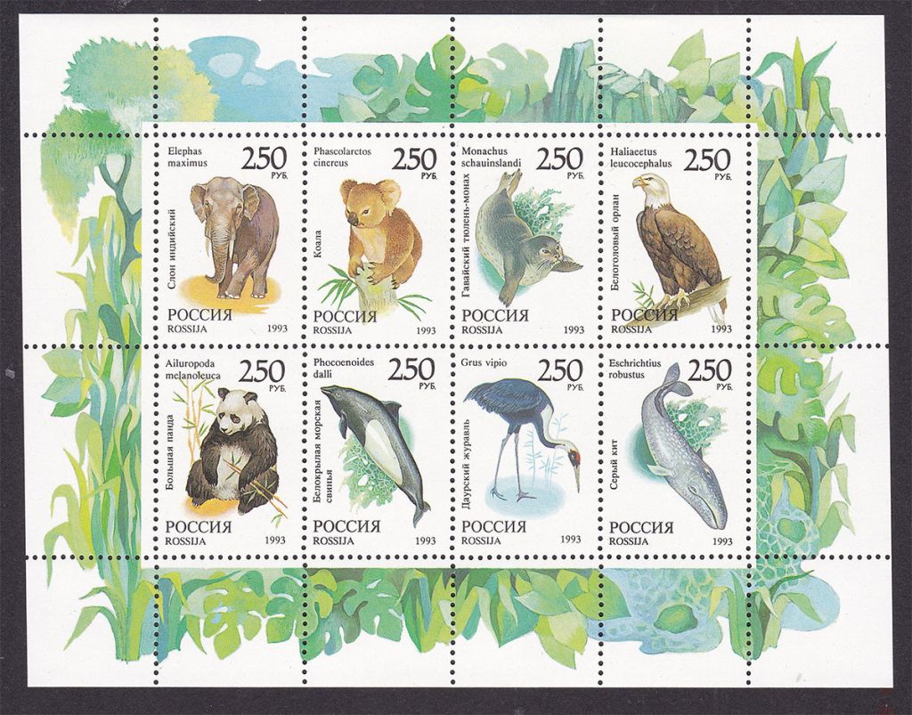 Фауна . Россия  1993  г  MNH - к/б - - фото фото фото 0