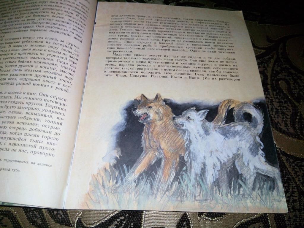 Тургенев И.С. БЕЖИН ЛУГ  (Рисунки Андрея Пахомова) - фото фото фото 4