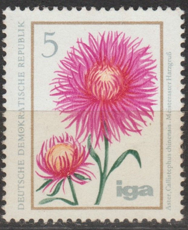 Германия Німеччина ГДР 1975 флора - фото фото фото 0