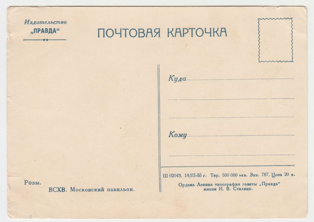 Розы Цветы 1955 Правда Р11А - фото фото фото 1