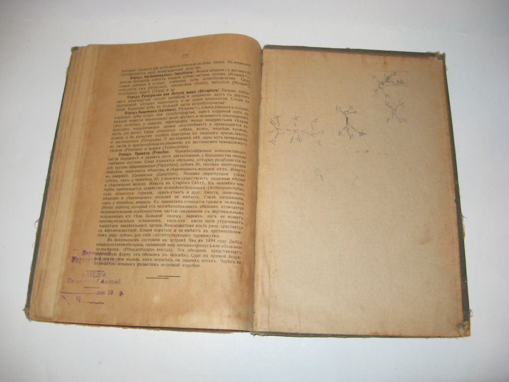 Книга Медицинская зоология учебник зоологии А. Никольский 1916 г. - фото фото фото 5