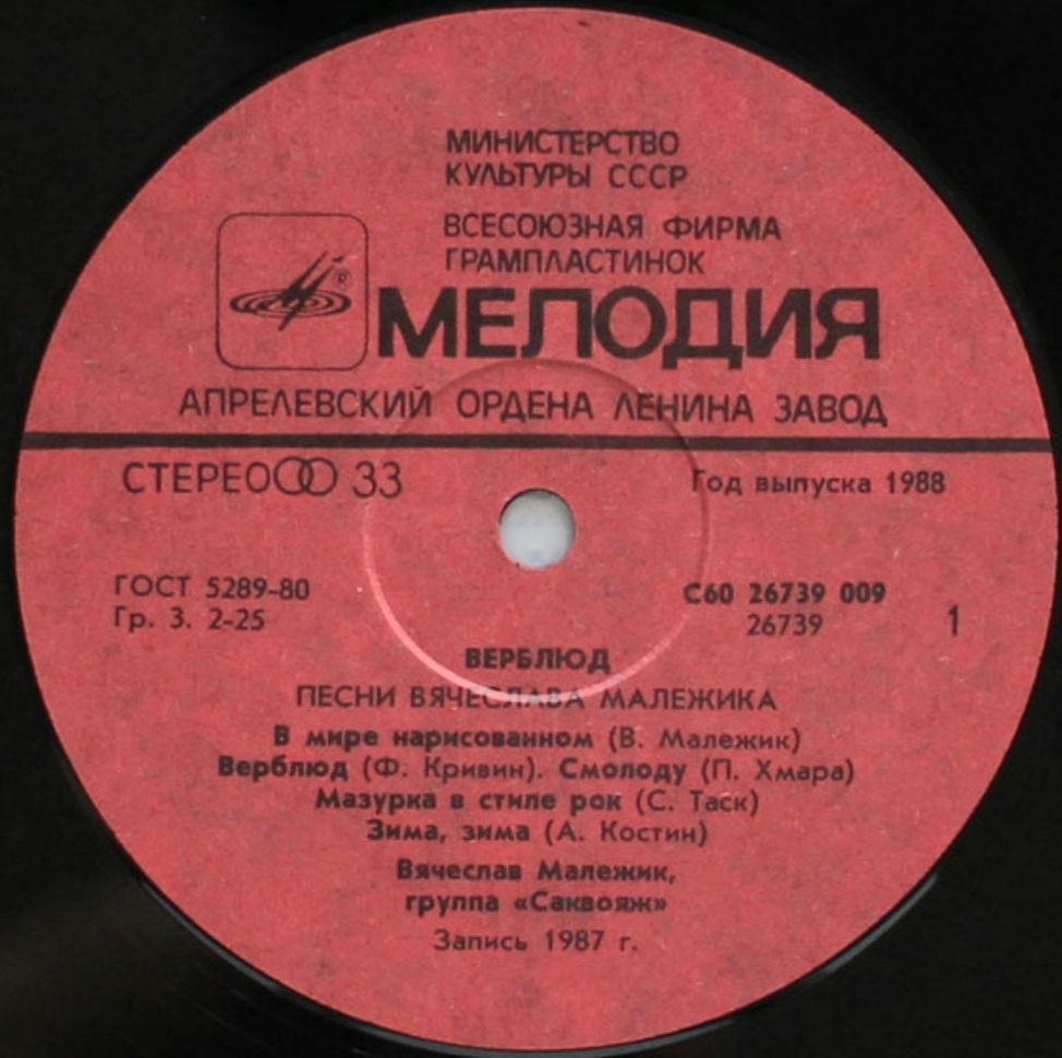 Вячеслав Малежик - Верблюд - 1987.  (LP). 12. Vinyl. Пластинка. - фото фото фото 3