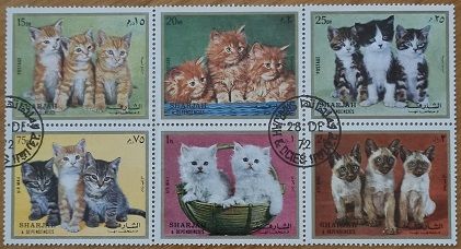 ШАРДЖА, 1972, ФАУНА - фото фото фото 0