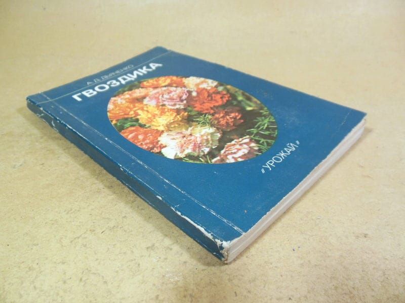 А.Д. Дьяченко. Гвоздика - фото фото фото 4
