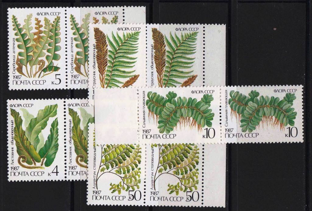 ZM  СССР 1987  г  MNH флора - фото фото фото 0