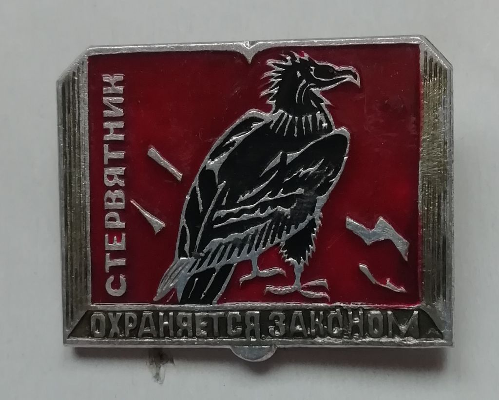 знак ЗНАЧОК- СТЕРВЯТНИК- ОХРАНЯЕТСЯ ЗАКОНОМ - фото фото фото 0