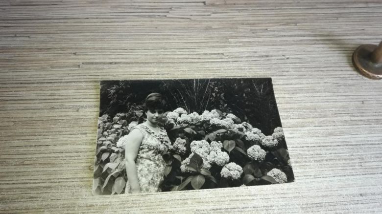 Фотокарточка 1960-е Девушка, субтропические цветы - фото фото фото 0