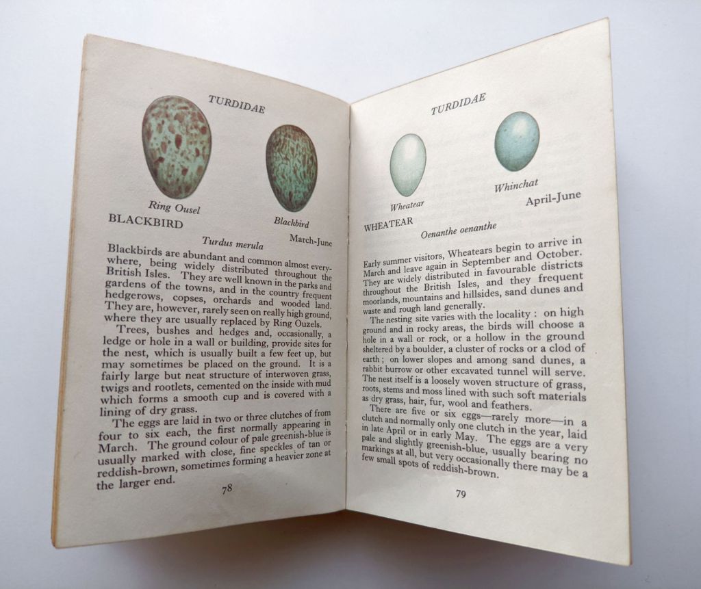 The Observer's Book of Birds' Eggs. H.D. Swain 1960 - фото фото фото 3