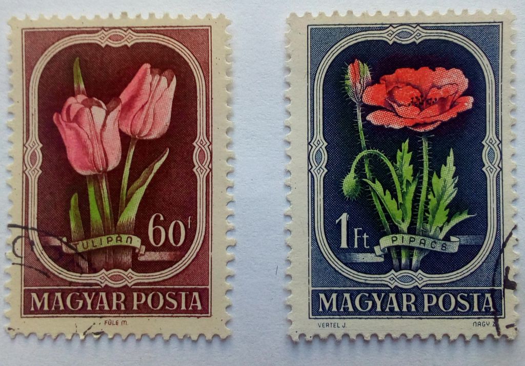 Венгрия 1951 Цветы, флора, гашеные  (КЦ=2,7 евро) - фото фото фото 0