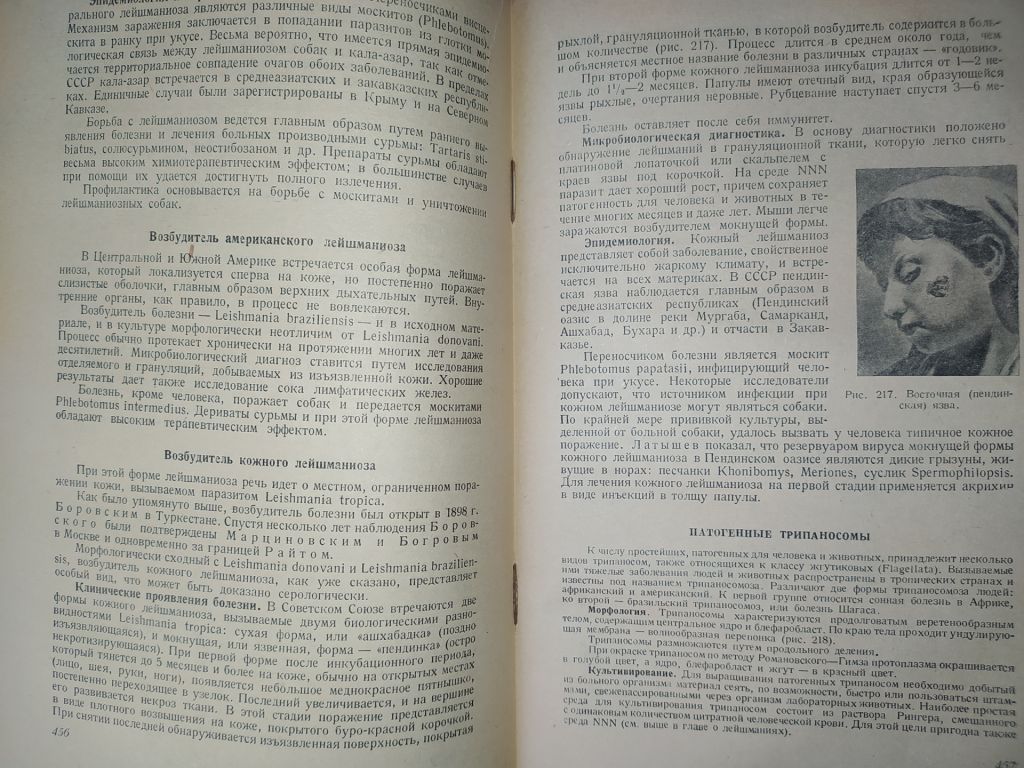 книга: УЧЕБНИК МЕДИЦИНСКОЙ МИКРОБИОЛОГИИ. II-e изд. 1949г.; - фото фото фото 13