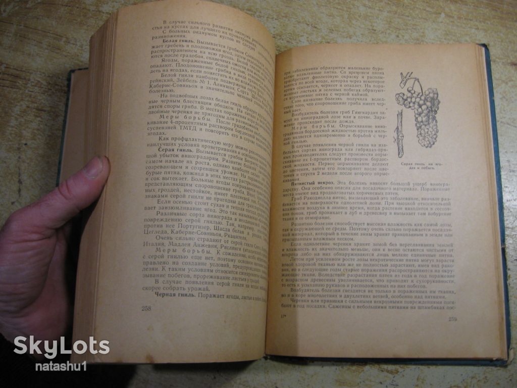 настольная книга виноградаря 1967г - фото фото фото 2