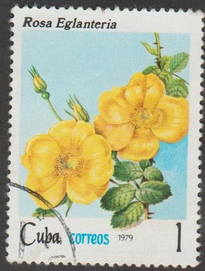 Куба 1979 флора цветы - фото фото фото 0