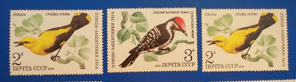 СССР 1979 г - Птицы защитники леса, негаш., 12 шт  (см.фото) - фото фото фото 4