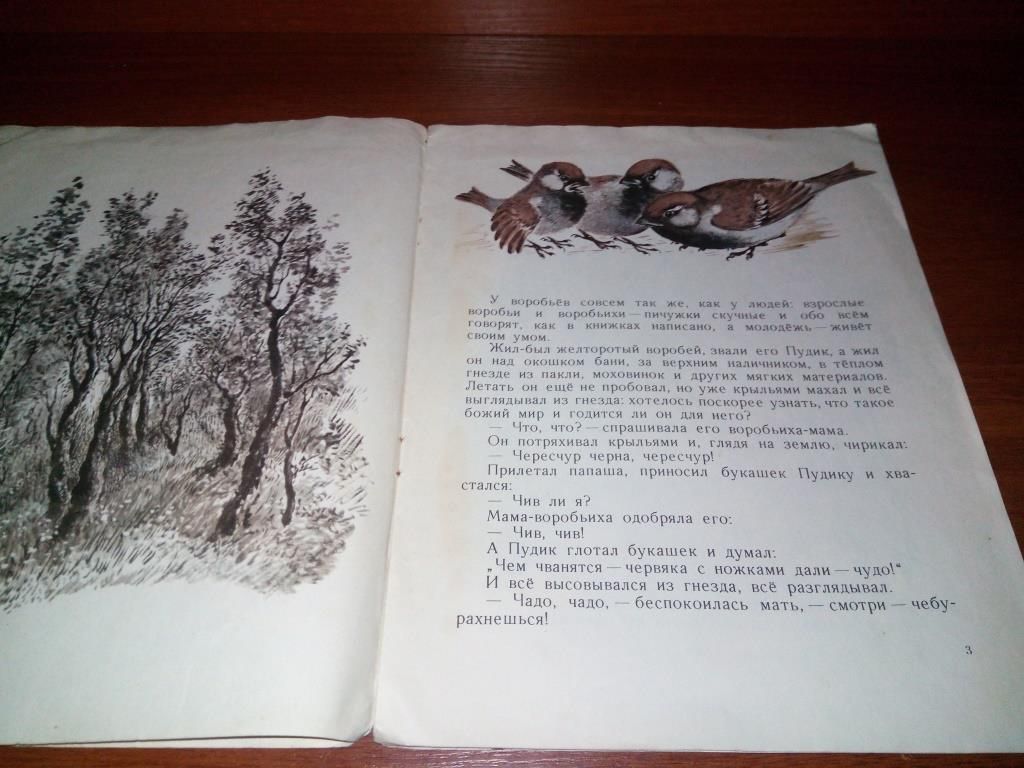 Горький ВОРОБЬИШКО  (Рисунки Е. Чарушина) - фото фото фото 5