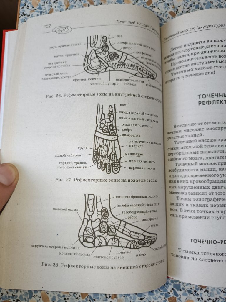 Целительные точки на теле человека - фото фото фото 6