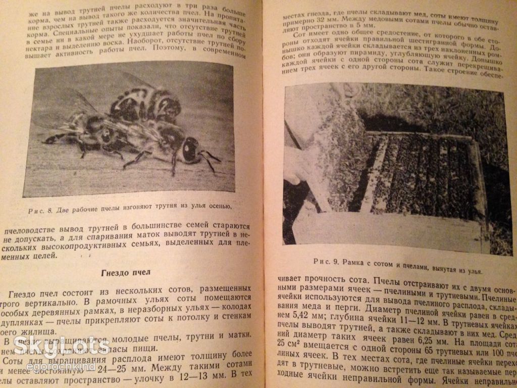 книга: ПЧЕЛА И ЗДОРОВЬЕ ЧЕЛОВЕКА 1962г. - фото фото фото 6