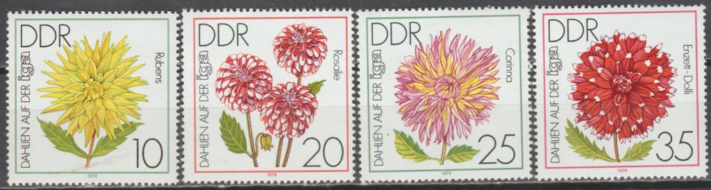 Германия Німеччина ГДР 1979 флора квіти - фото фото фото 0