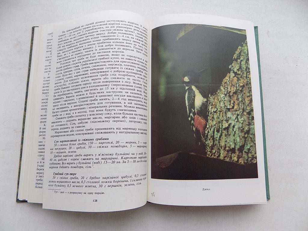 Книга С.Генсірук В.Кучерявий Л.Гайдарова В.Бондаренко Зелені скарби України - фото фото фото 4