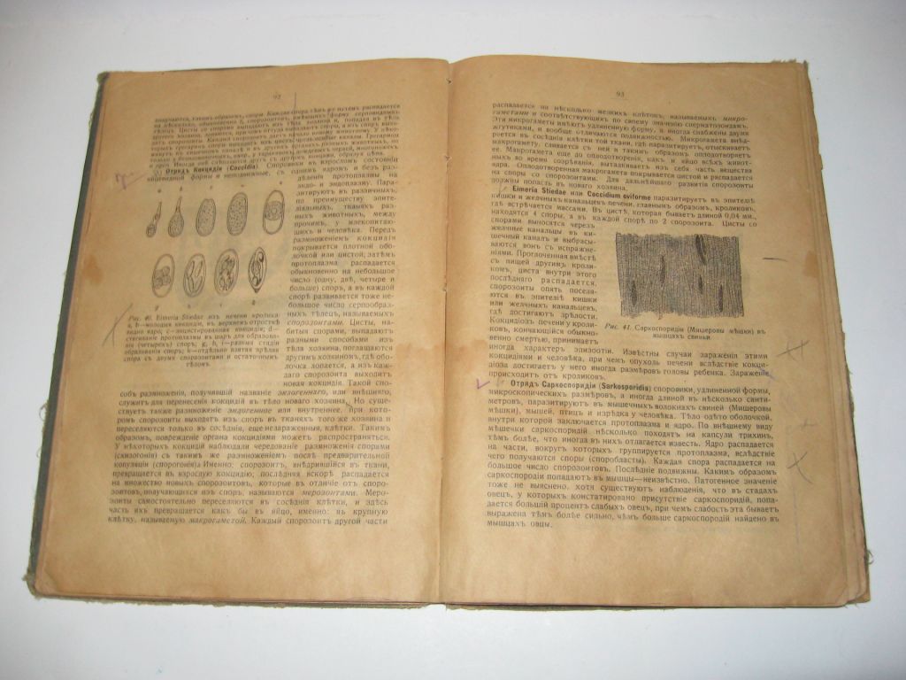 Книга Медицинская зоология учебник зоологии А. Никольский 1916 г. - фото фото фото 2