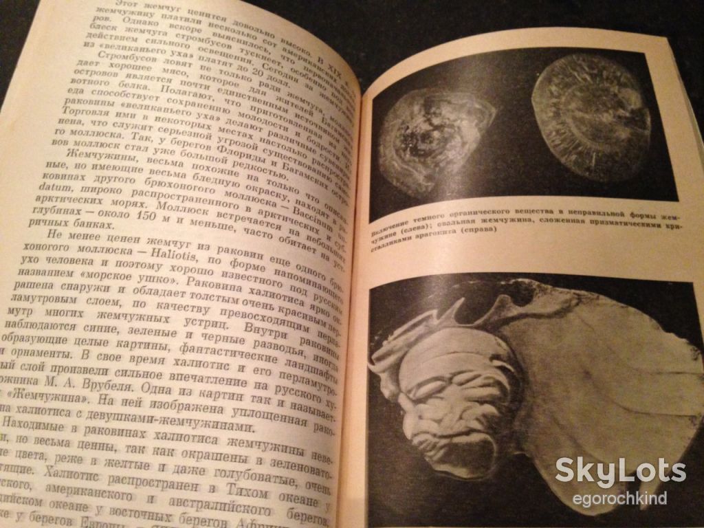 книга:  ЖЕМЧУГ  1985г. - фото фото фото 4
