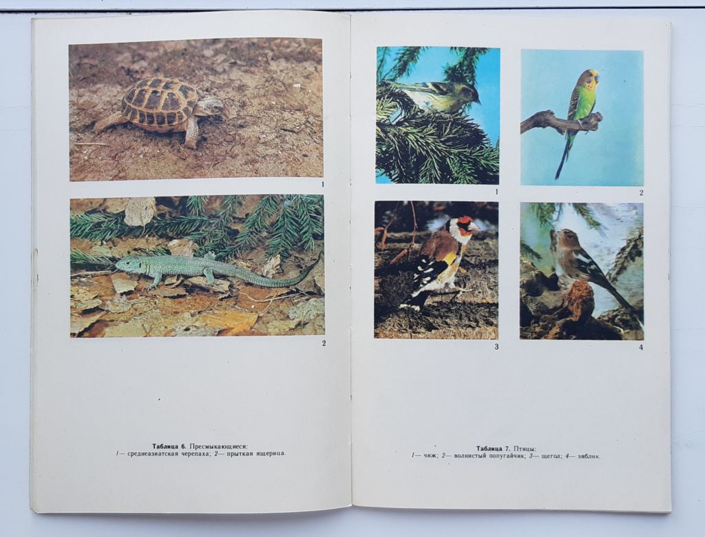 Книга Уголок природы в школе, 1986г. - фото фото фото 3