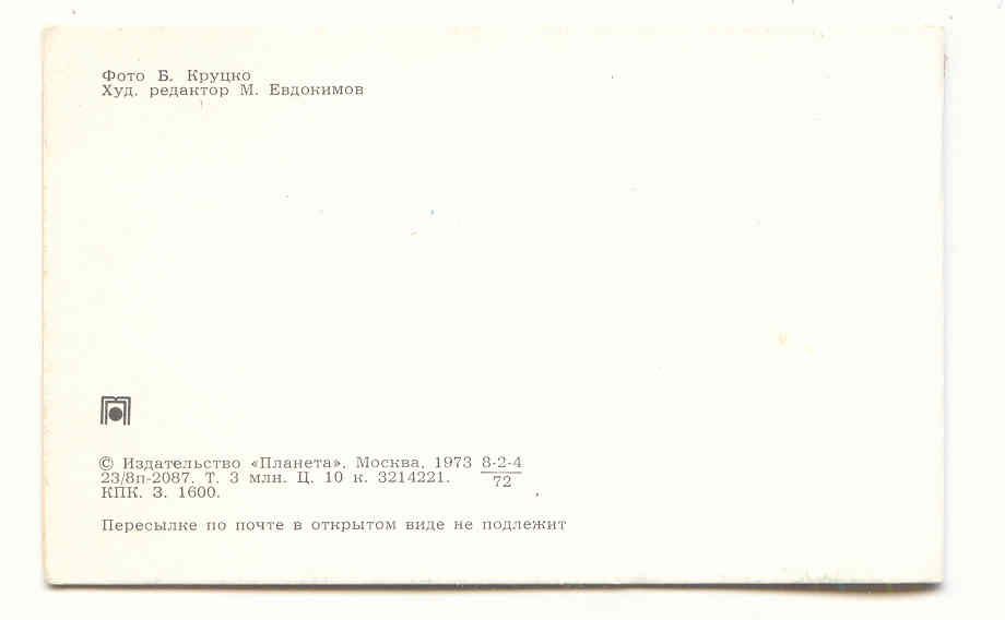СССР 1973 Открытка  Приглашение Цветы  Розы  Дергилева - фото фото фото 1