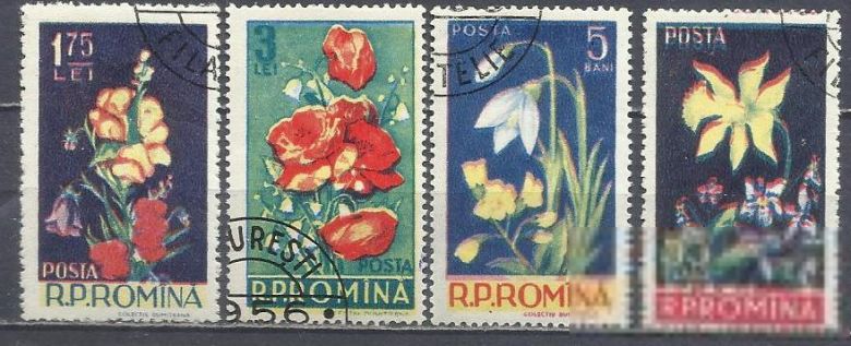 Румыния 1956 флора цветы 4м.гаш. - фото фото фото 0