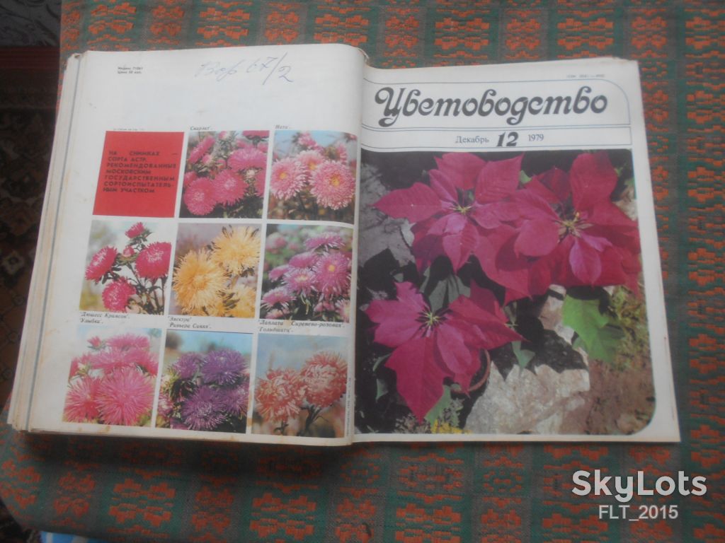 Цветоводство  1979 г.  Годовая - фото фото фото 12