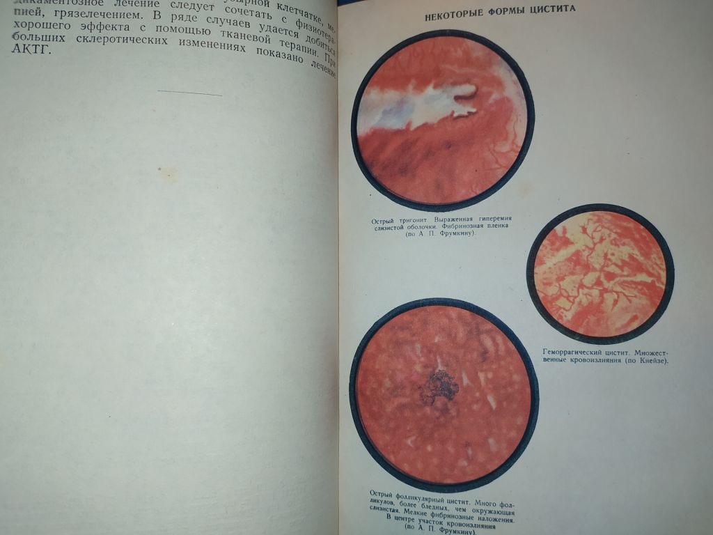 книга: ЦИСТИТЫ 1958г. - фото фото фото 4