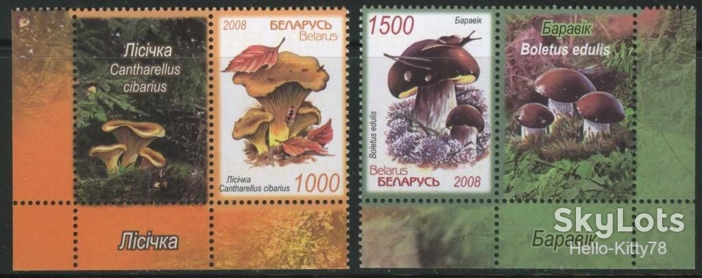 Беларусь 2008 флора грибы Mi 720-721 MNH - фото фото фото 0