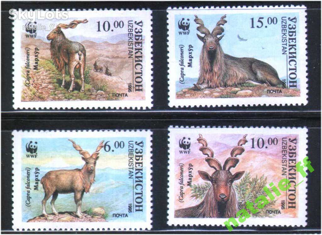 NM Фауна  Узбекистан  1995 г MNH - WWF - - фото фото фото 0