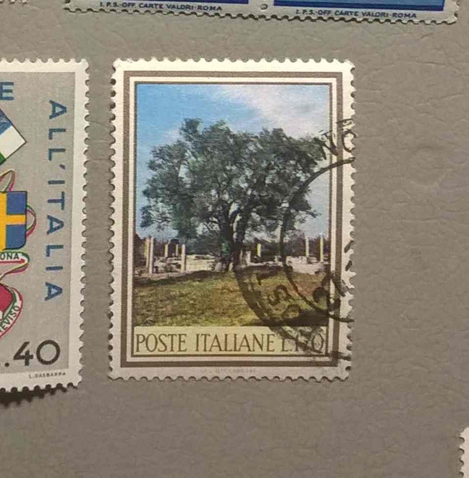 Италия Флора 1966 - фото фото фото 0