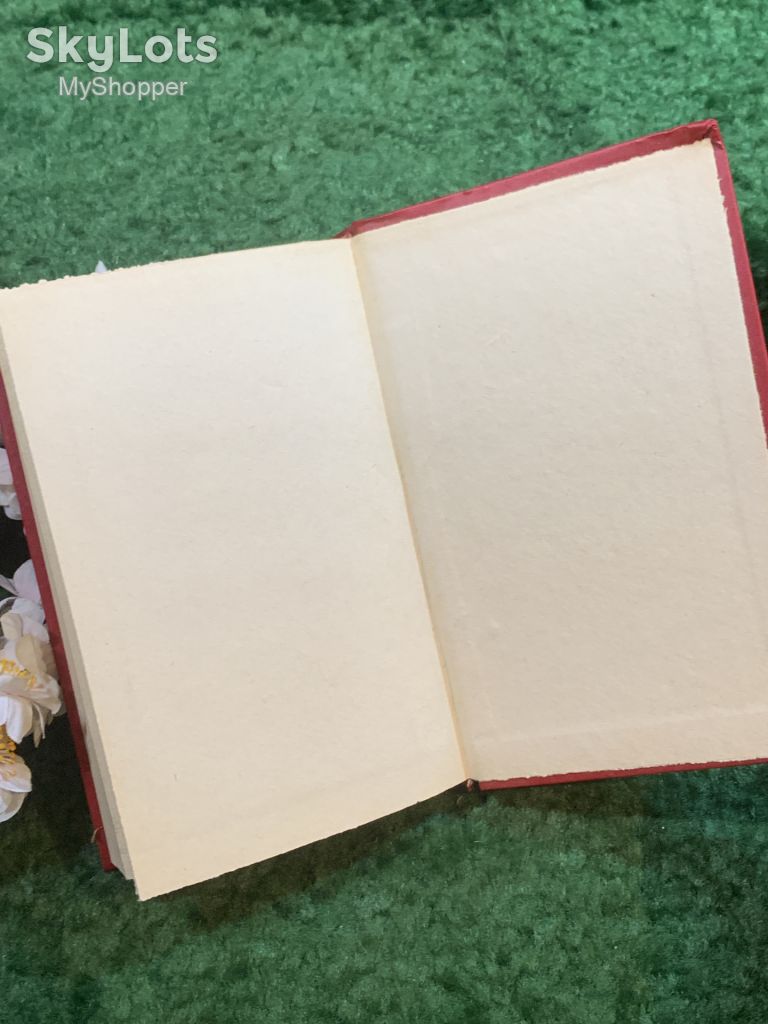 Книга историко-приключенческий роман «Пираты Мексиканского залива» Висенте Рива Паласио 1993 г.  (Н8253) - фото фото фото 9