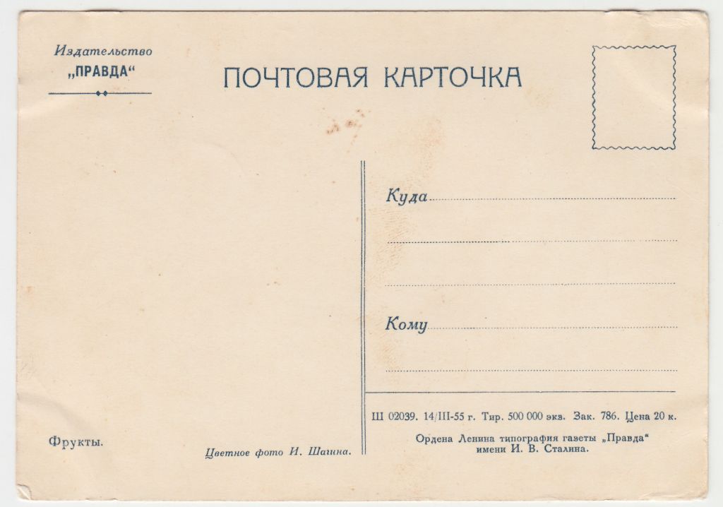 Фрукты Натюрморт 1956 Шагина Р11А - фото фото фото 1