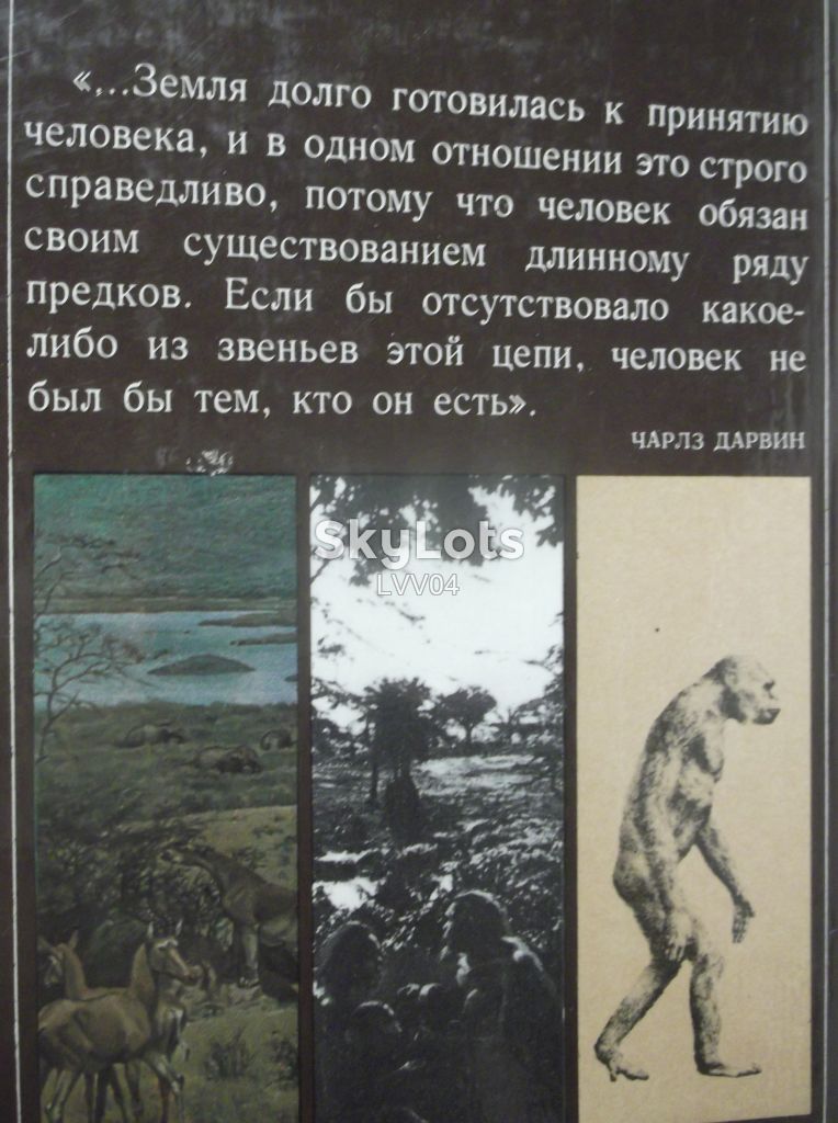 Ларичев. Сад Эдема. О «прародине» человека - фото фото фото 11