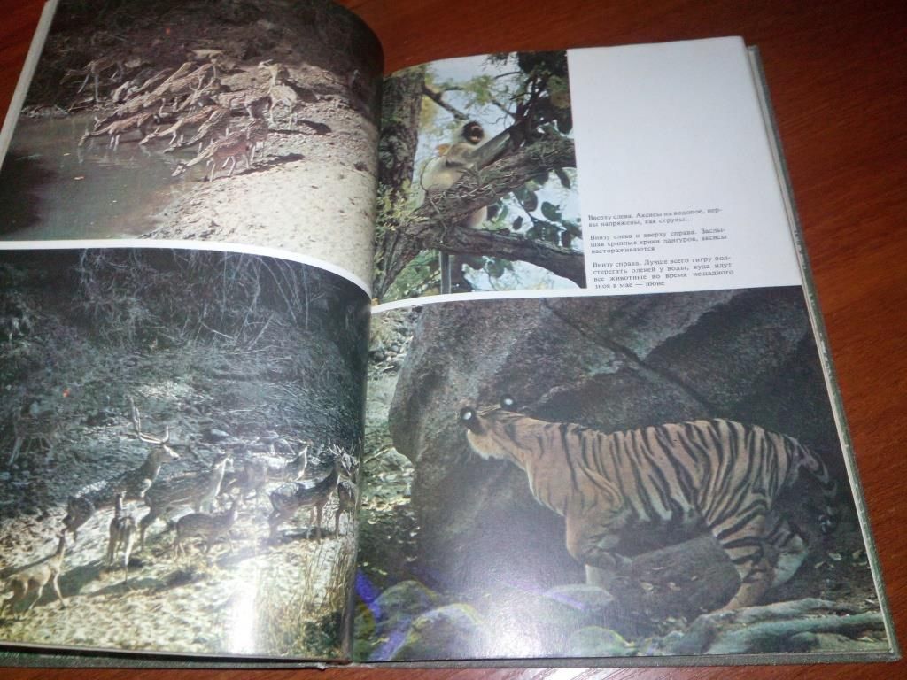 Ян Линдблад Мир книги джунглей - фото фото фото 4
