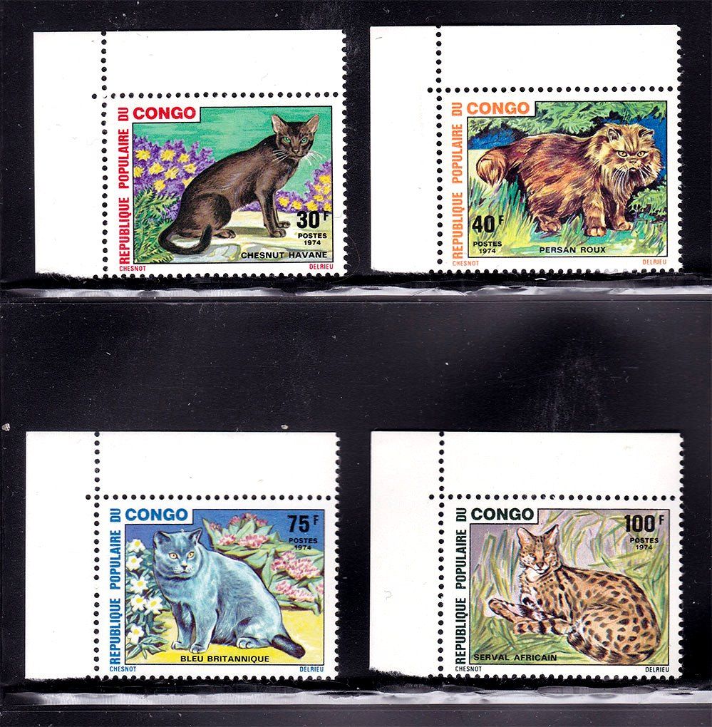 Фауна . Конго / Congo  1974 г  MNH - кошки - серия - фото фото фото 0