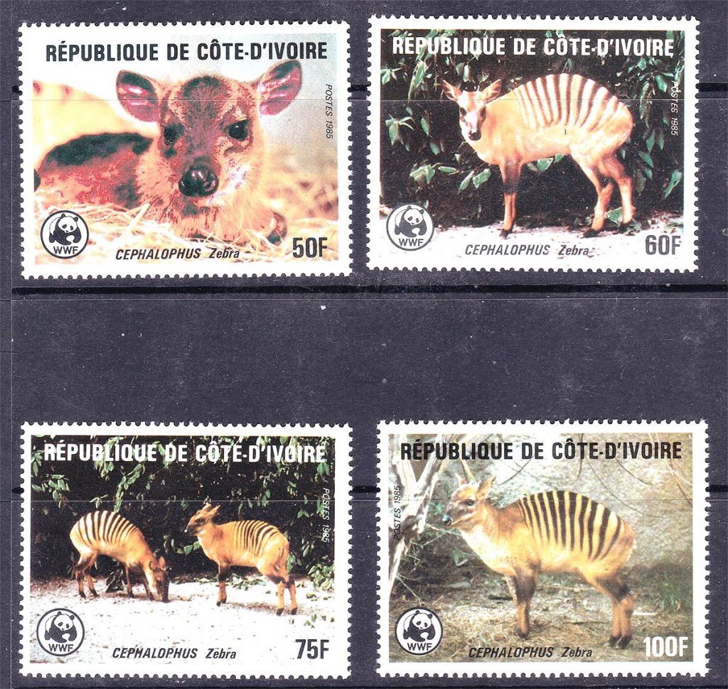 NM Фауна  CDV  / Кот Дивуар 1985 г MNH - WWF - - фото фото фото 0