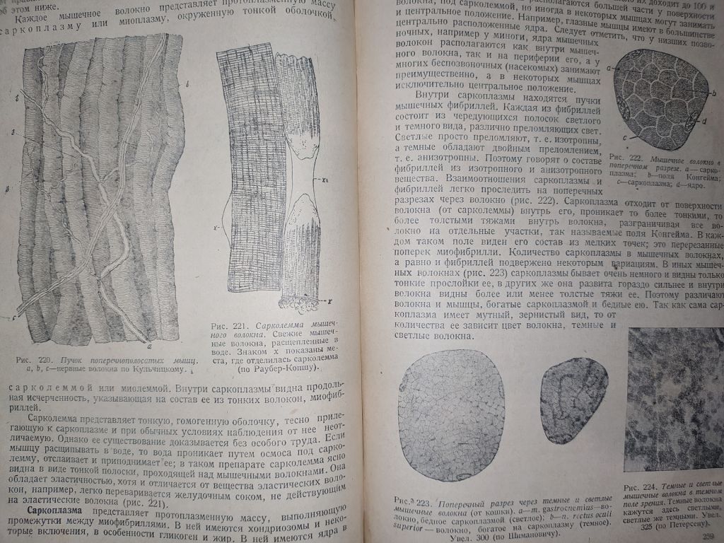 книга: ОСНОВЫ ГИСТОЛОГИИ И ГИСТОГЕНЕЗА ЧЕЛОВЕКА. Часть I. 1931г. - фото фото фото 10
