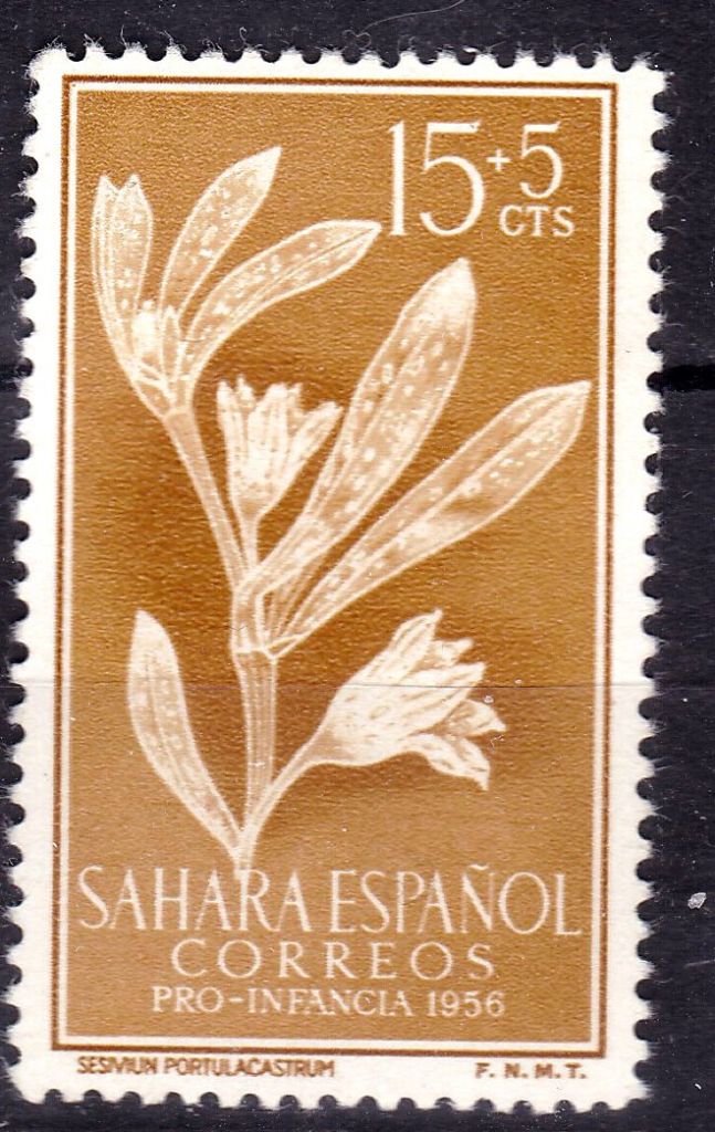 Флора .  Испанская Сахара   1956 г  г  MNH   - цветы - фото фото фото 0