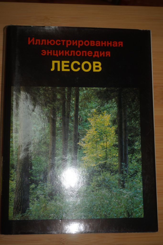 Еник Ян. Иллюстрированная энциклопедия лесов. - фото фото фото 0