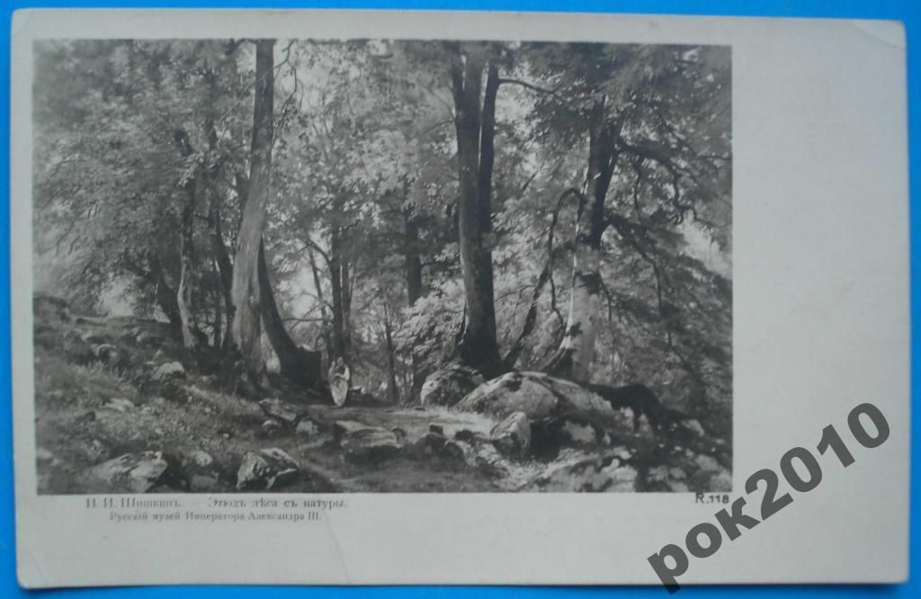 Открытка Шишкин Этюд леса с натуры - фото фото фото 0