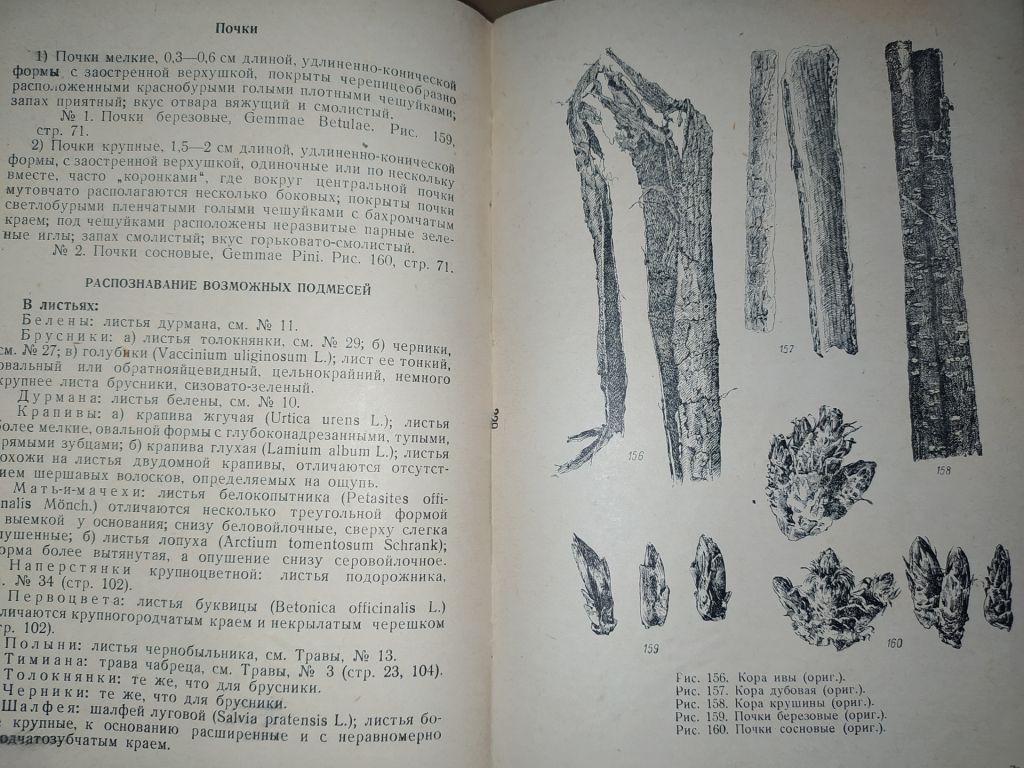 книга: ОПРЕДЕЛИТЕЛЬ РАСТИТЕЛЬНОГО ЛЕКАРСТВЕННОГО СЫРЬЯ 1952г. - фото фото фото 7