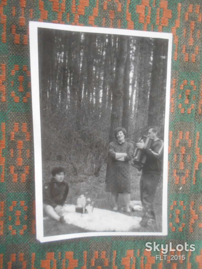 С гармошкой на природе  .  1970 - е - фото фото фото 1